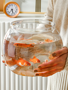 透明塑料桌面摆件乌龟缸办公室观赏鱼缸家用圆球形水培植物金鱼缸