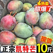 攀枝花凯特芒果新鲜10斤当季热带水果现摘纯甜薄核大芒果整箱