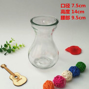 水培风信子瓶子透明花瓶，风信子专用水培玻璃瓶子塑料瓶子