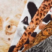 日本进口纯棉数码印花兔子猫狗犬，动物皮连衣裙衬衫拼布艺服装面料