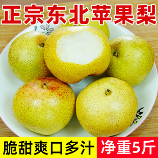 东北苹果梨5斤装东北延边龙井特产香酥梨子做冻梨新鲜水果
