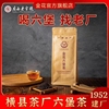 广西横县金花六堡茶2005年桂，青种品鉴，装陈年黒茶老茶100克袋装