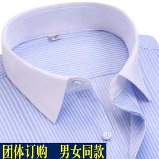 女士方领白领蓝色条纹，短袖衬衫正装领条纹，工作服职业工装半袖衬衣