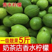 广东香水柠檬一级果青柠檬5斤装新鲜无籽柠檬奶茶店专用水果