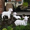 户外花园装饰仿真羊摆件树脂动物，庭院阳台小院子创意造景景观布置