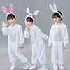 六一儿童动物演出服小兔子动物，服小兔子乖乖舞蹈服装，白色连体纱裙