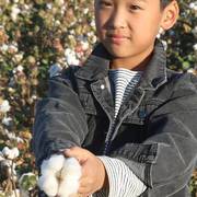 新疆棉被手工纯棉花被春秋被芯，被子冬被全棉，棉絮垫被双人加厚保暖