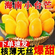 海南芒果新鲜10斤小台芒，水果当季整箱红金玉大青煌三亚特产大果