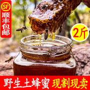 蜂蜜纯正天然木桶土蜂蜜，农家自产秦岭正宗野生成熟原蜜礼盒
