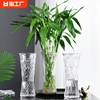 创意简约大号透明玻璃，花瓶水养富贵竹家用插花瓶，客厅摆件桌面极简