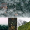 北欧ins绿色森林树林雾气山林风景画背景墙纸装饰画高清图片素材