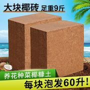 9斤大椰砖大块椰糠砖营养土多肉绿萝园艺耶土通用养花种菜专用土