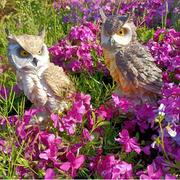 仿真动物猫头鹰雕塑摆件，户外花园庭院树脂，装饰模型守护多肉花驱鸟