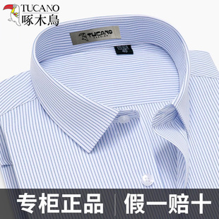 啄木鸟蓝色条纹衬衫男士长袖短袖夏季商务正装职业中青年棉白衬衣