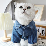 奶猫衣服网红冬天牛仔棉衣短袖帅气保暖两脚衣布偶猫厚款冬季棉服