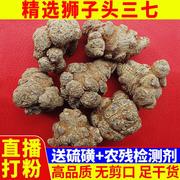 高档级狮子头三七头云南文山田七粉片直播磨粉