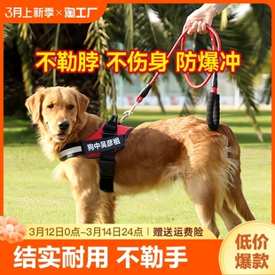 狗狗牵引绳背心式金毛，拉布拉多胸背带小型中型大型犬遛狗绳狗链子