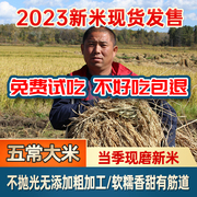 五常大米2023东北黑龙江新米大米稻花香腹白米10kg长粒米