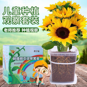 儿童种植小盆栽学生植物生长观察日记盒向日葵，种孑套餐幼儿园礼物