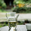 日式高硼硅耐热玻璃茶壶小号绿茶花，茶壶仿宋执壶公道，杯泡茶带滤网