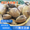 3斤东港丹东大黄蚬子新鲜活无沙蛤蜊海鲜贝类水产1500克