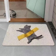 可爱猫咪地垫家用进门丝圈踩脚免洗垫子，门厅入户门地毯pvc门垫ins