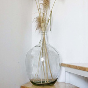 大肚花瓶桌面玻璃水竹透明圆肚水生餐桌户外大号花艺样板间文艺