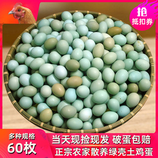 绿壳山鸡蛋60枚整箱生鸡蛋新鲜正宗农家散养土鸡蛋15枚初生乌鸡蛋