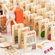 早教100片英文汉字学习多米诺骨牌儿童宝宝积木木制益智玩具3-7岁