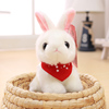 小兔子玩偶毛绒玩具可爱小白兔公仔韩国仿真安抚娃娃生日礼物女孩