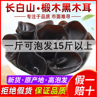 新货东北黑木耳干货500g非野生非特级长白山秋耳无根厚干木耳云耳