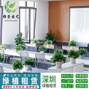 深圳办公室盆栽植物租赁绿植，绿化养植物，花卉租摆绿墙工程庭院设计