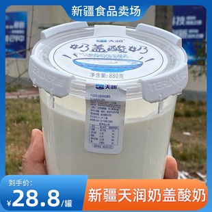 天润酸奶新疆天润奶盖酸奶圆桶装低温酸奶全脂发酵乳880g*2桶装