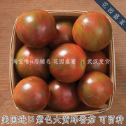 可留种有机紫色大黄蜂樱桃番茄种子3粒美国进口高产甜