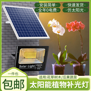 太阳能植物补光灯led全光谱室内鱼缸水草盆景花卉专用绿植生长灯