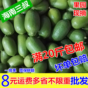 新鲜柠檬海南无籽香水柠檬水果台湾四川青黄柠檬果园现摘 1斤