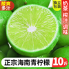 海南青柠檬新鲜10斤当季水果，薄皮小青柠奶茶店专用香水绿柠檬整箱