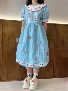 童趣减龄蓝白格子精致刺绣可爱甜美多巴胺，减龄娃娃领连衣裙2023夏
