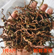 茶枝去味茶叶梗除甲醛茶梗装修新车吸味可泡水大排档饭店茶做枕头