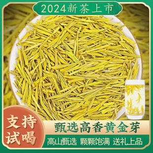黄金芽茶叶2024新茶明前特级高山绿茶毛峰500g浓香型自己喝上市