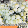 贵州特产现摘新鲜孕妇水果水晶葡萄鲜果青绿酸甜多汁葡萄500g