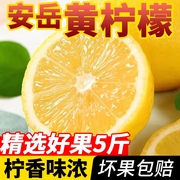 全网四川安岳柠檬当季新鲜柠檬，泡水奶茶店专用整箱青柠