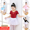 女童舞蹈练功服中国舞分体考级表演服春夏儿童芭蕾舞公主裙演出服