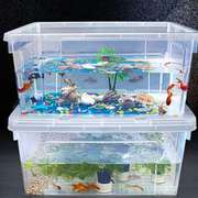乌龟饲养缸带盖鱼缸高透明(高透明)塑料，特大号家用养殖周转箱养鱼养饲养箱