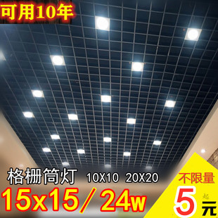 格栅筒灯15x15方形铁铝格子led双头10*20公分葡萄架专用6寸黑射灯