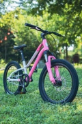 红旗轻奢超轻儿童自行车男孩女孩6-8-12岁中大童单车变速车