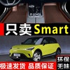 2022款smart精灵#1专用丝圈脚垫，奔驰汽车内饰，改装装饰用品地毯21