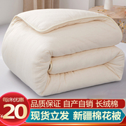 新疆棉被一级全棉被芯纯棉花，棉絮棉花被床垫，加厚保暖冬被手工被子
