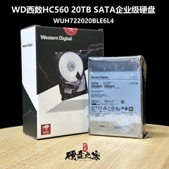 机械硬盘西数20TB企业级HC560