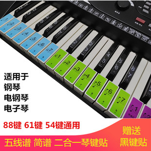 钢琴键盘贴88键61键电子琴，手卷钢琴键，贴谱简五线谱琴键键位音标贴